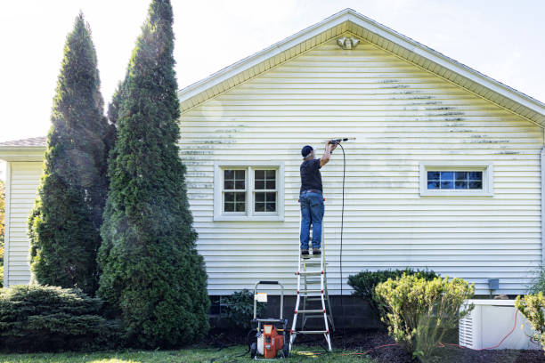 Best Driveway Cleaning and Restoration in Pickens, SC